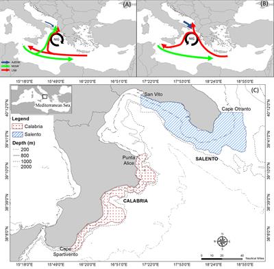 Contribution of Intermediate and High Trophic Level Species to Benthic-Pelagic Coupling: Insights From Modelling Analysis